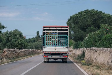 Italya apulia içinde yolda kamyon araba