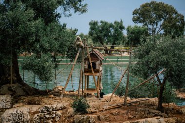 Hayvanat bahçesi yaban hayatı Fasano apulia safari Hayvanat Bahçesi İtalya'da maymun