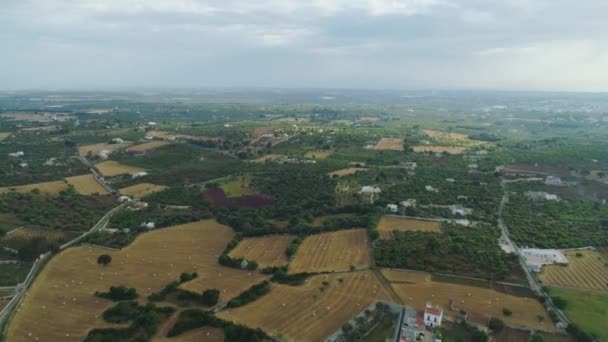 Αγρότης πεδία σε πτήση Drone Ιταλία 4k — Αρχείο Βίντεο
