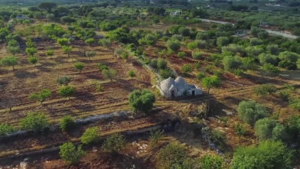 Trullo trulli whitr stary dom w polu w locie Drone Włochy 4k — Wideo stockowe