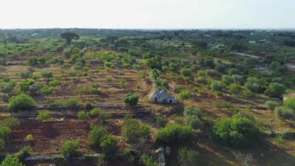 Trullo trulli vecchia casa bianca sul campo in Italia Drone 4k volo — Video Stock