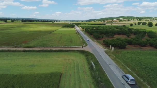 Auto rijden door het groene veld in Italië Drone vlucht 4k — Stockvideo