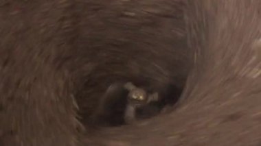 Geri dönüşüm çöp yeniden kullanmak üzere, çöp, sepet, izole, plastik, kağıt ev işareti çöp tenekesi yeşil