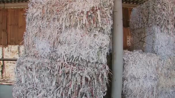 Recycling van afval karton papierproductie — Stockvideo