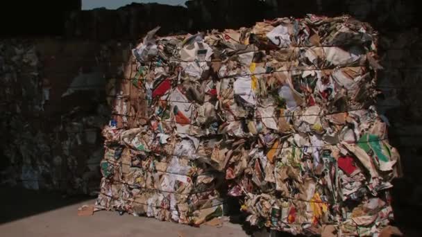 Reciclaje de basura Producción de papel de cartón — Vídeo de stock