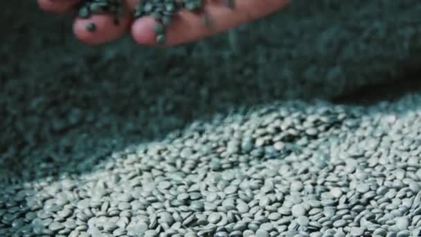 Зеленые гранулы на заводе по переработке пластика — стоковое видео