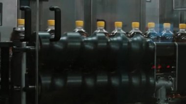 Üretim fabrikası konveyör suyu ile plastik şişe