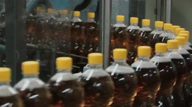 Üretim fabrikası konveyör suyu ile plastik şişe