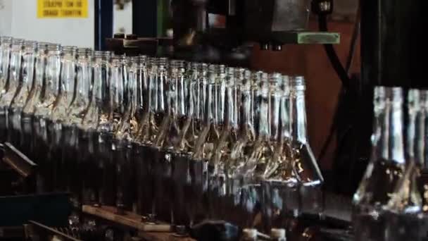 Glazen flessen op de transportband op de technologie-fabriek — Stockvideo