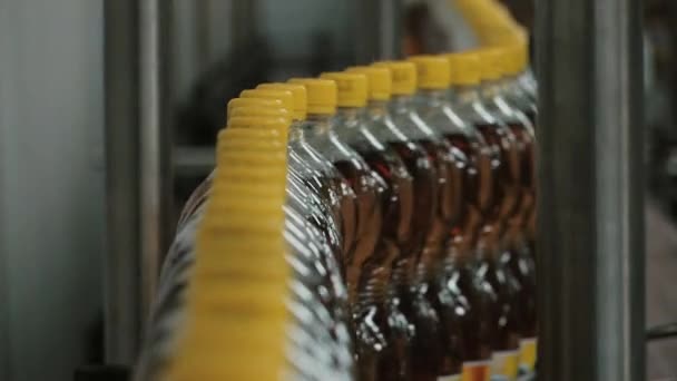 Plastic Flessen Met Limoonade Transportband Groep Rij Productie Achtergrond Lijn — Stockvideo