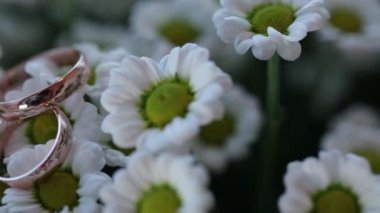 Alyans makro closeup altın elmas mücevher