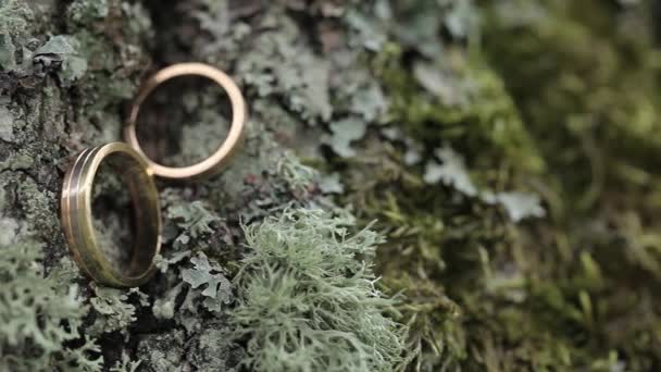 Biżuteria Weddingrings Makro Para Sympol Szczęścia — Wideo stockowe
