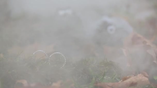 Trouwringen zilver in de mist bos macro close-up schieten diamon sieraden — Stockvideo