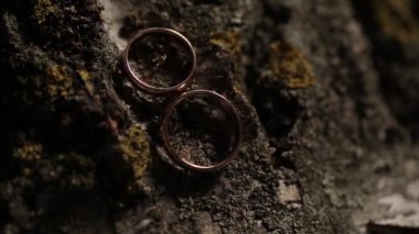 Diamon mücevher altın alyans ağaç makro portre üzerinde ateş