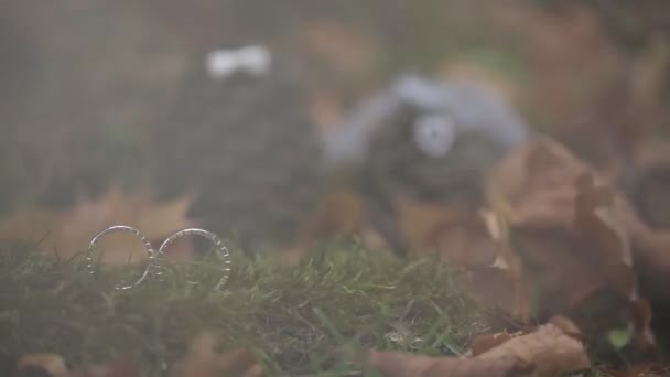 Boda Anillos de Plata en el bosque de niebla macro primer plano disparar diamon Joyería — Vídeos de Stock