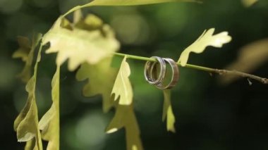Altın alyans makro closeup çekim diamon Kuyumculuk