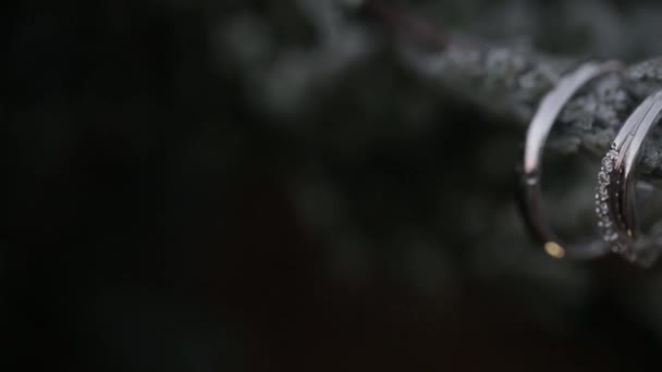 Zilveren trouwringen ion een boom van de winter met sneeuw macro close-up schieten diamon sieraden — Stockvideo