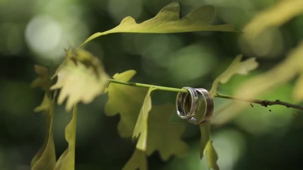 Zlaté snubní prsteny makro detailní střílet diamon šperky — Stock video