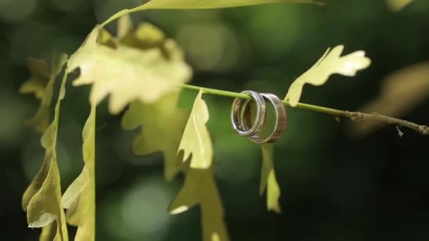 Золоті обручки макро крупним планом знімають діамант Ювелірні вироби — стокове відео