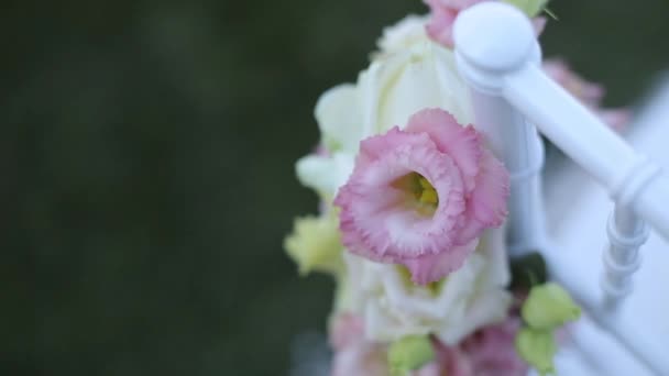 Wedding decorations from white and red flowers ceremony floristics — Stock Video