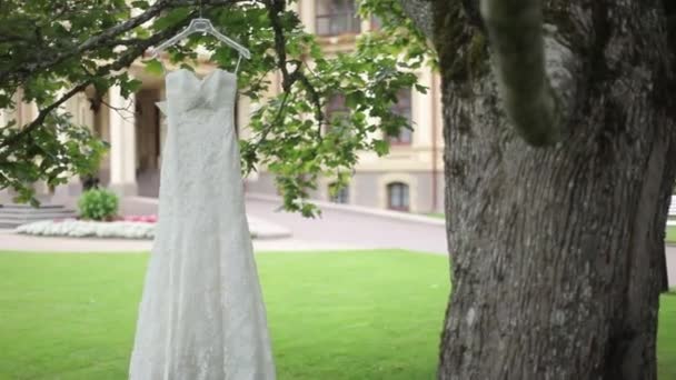 Weißes Hochzeitskleid hängt an einem Baum in der Nähe der Burg — Stockvideo