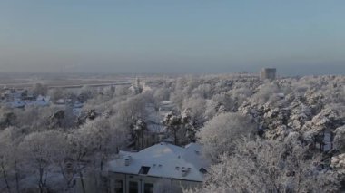 Beyaz kar en fazla bir çam ağacının dalları üzerinde yatıyor ve güneşli bir günde yenmiş olacak.