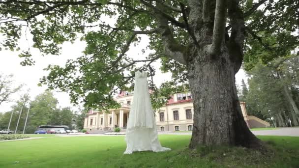 Biała suknia wisi na drzewie w pobliżu zamku — Wideo stockowe