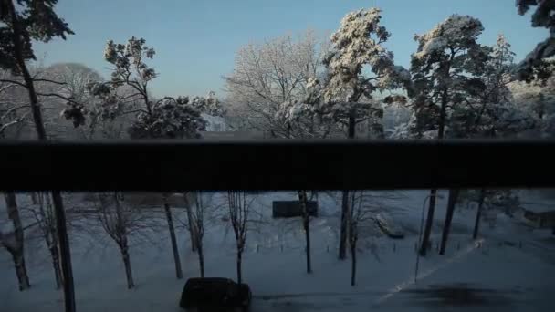 Lyft i hissen vit snö ligger på toppen av en tall grenar och äts på en solig dag — Stockvideo