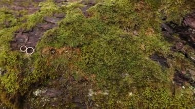 Diamon Kuyumculuk Gümüş Alyans sis orman makro closeup içinde ateş