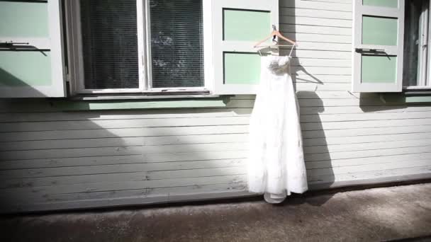 Vestido Noiva Uma Árvore Noiva Bonito Feminino Beleza Moda Fundo — Vídeo de Stock