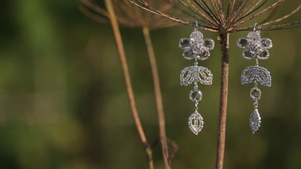 Pendientes de boda colgando de una hierba amarilla seca decoraciones para la novia Bijouterie, cintas, decoraciones de satén y joyas — Vídeos de Stock