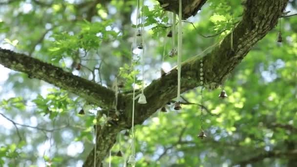 Décorations de mariage pour la mariée Bijouterie, rubans, décorations en satin et bijoux — Video