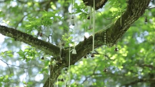 Décorations de mariage pour la mariée Bijouterie, rubans, décorations en satin et bijoux 