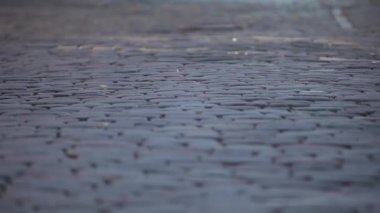 Güneşli bir gün yolda kaldırım taşı