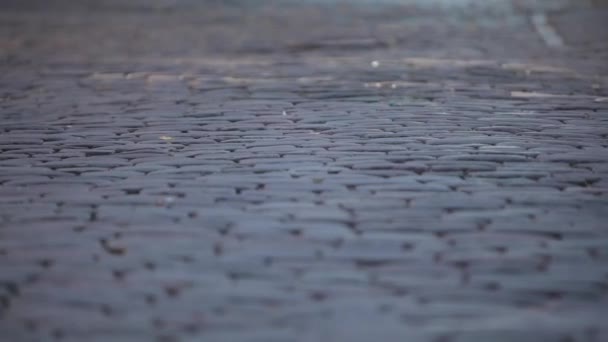 Тротуарний камінь на дорозі в сонячний день — стокове відео