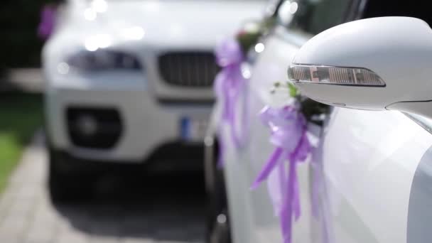 Carro de casamento branco flores brancas e fitas roxas pendurar de carro — Vídeo de Stock