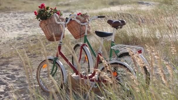 Bicyclettes vintage avec des fleurs dans le panier se tenir dans un champ au bord de la mer — Video