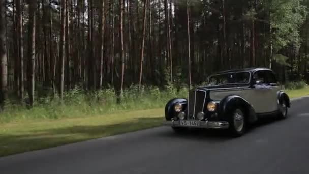 Vintage vit bil med svart på en asfalterad väg i en grön skog — Stockvideo