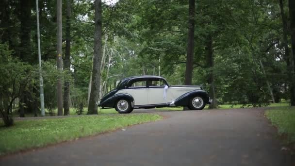 Vintage coche blanco con negro En un camino de asfalto en un bosque verde — Vídeo de stock