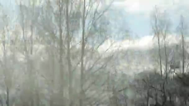 Вид з вікна автомобіля на деревах у розмитому стані — стокове відео