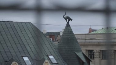 Bir evin eski Riga Letonya çatıda bir kedi heykeli