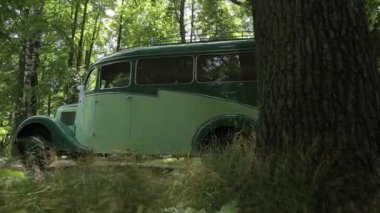 Siyah yeşil orman de bir asfalt yol ile eski model beyaz araba