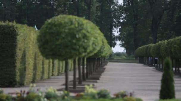 Park mit grünen Bäumen neben dem Schloss Sommerzeit — Stockvideo