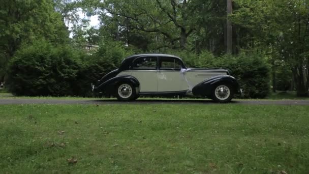 Vintage coche blanco con negro En un camino de asfalto en un bosque verde — Vídeos de Stock