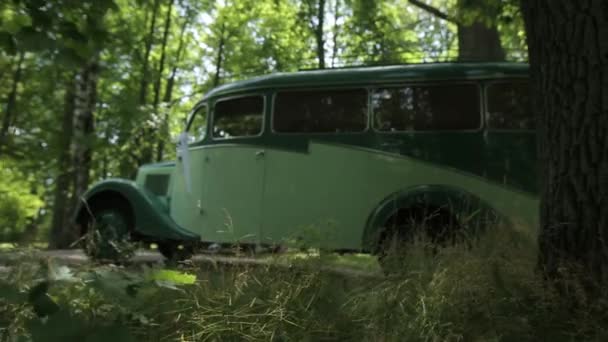 Vintage witte auto met zwart op een asfaltweg in een groen bos — Stockvideo