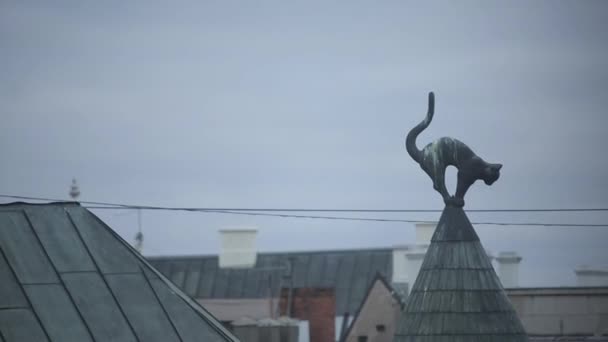 Standbeeld van een kat op het dak van een huis in oude Riga Letland — Stockvideo