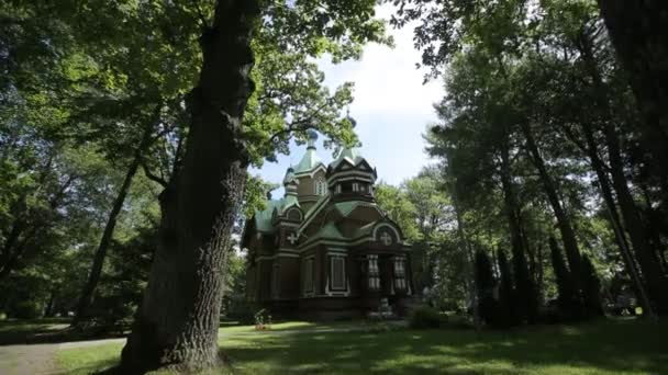 Orthodoxe kerk in het groene zomer bos — Stockvideo