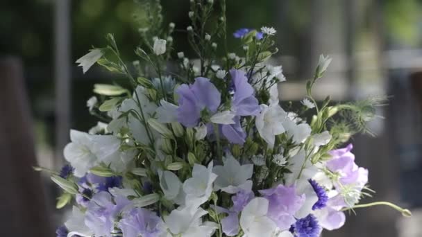 Ein Strauß Sommerblumen im Sonnenlicht — Stockvideo