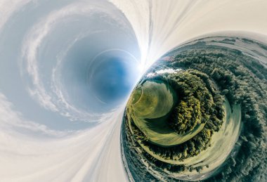 Yeşil alan ve orman doğa Litvanya