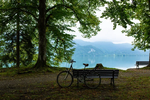 Bicicleta velha e banco de madeira junto ao lago e céu azul ao lado das árvores — Fotografia de Stock